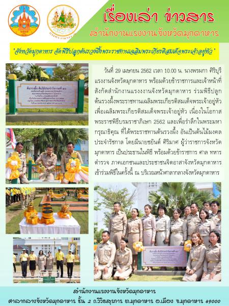 Mol-Thailand