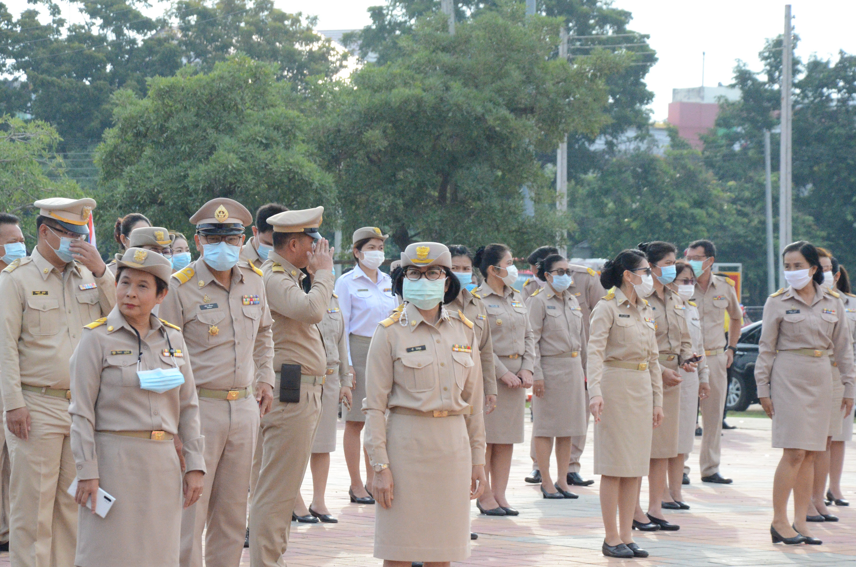 Mol-Thailand
